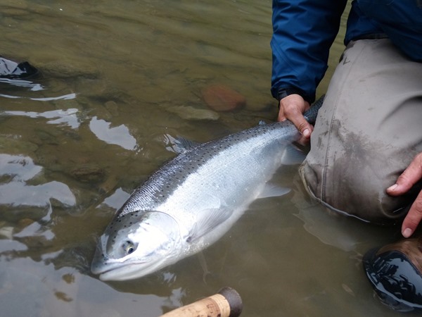 They don't get more chrome than this