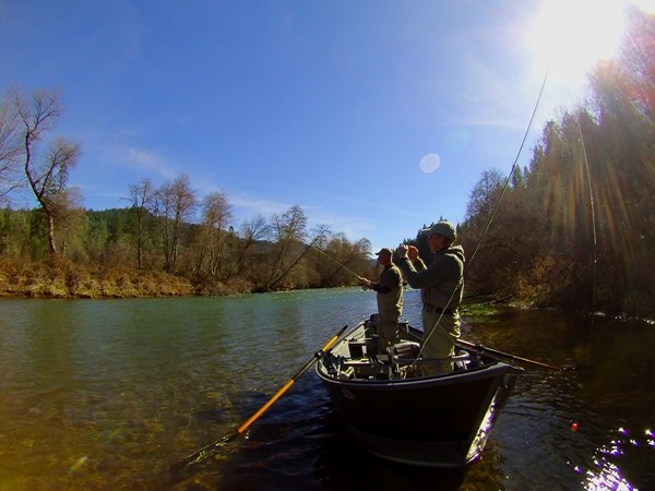 spring time in mid February