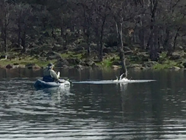 Fishing Report Image