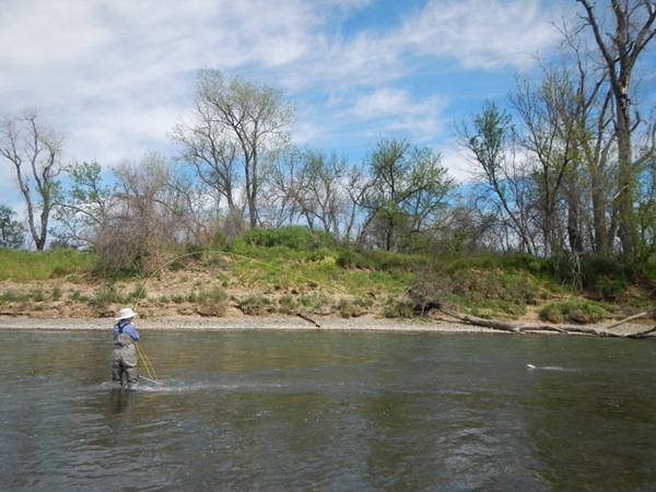 Fishing Report Image