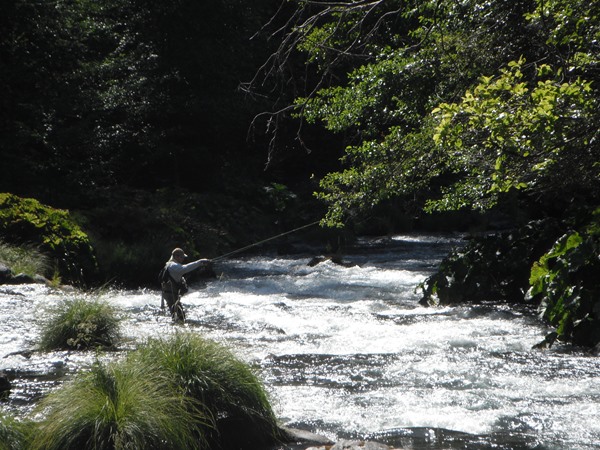 Fishing Report Image