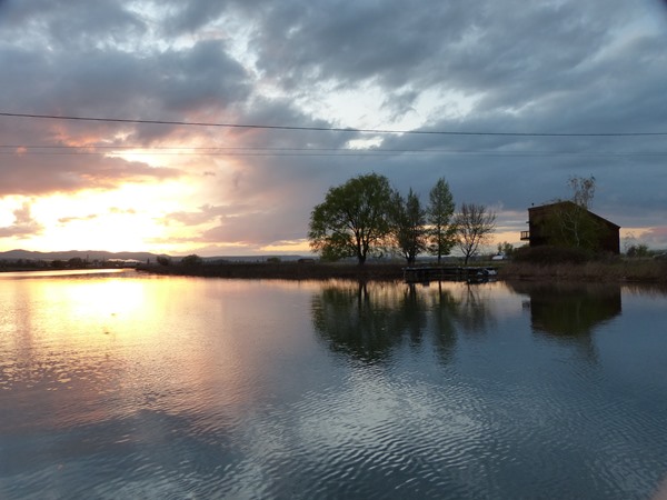 Fishing Report Image