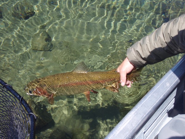 Fishing Report Image