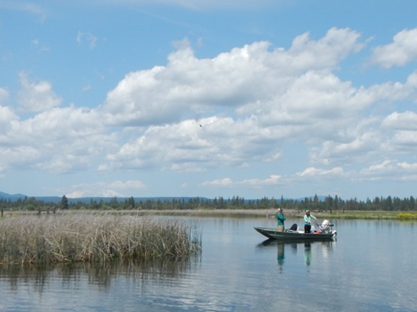 Fishing Report Image