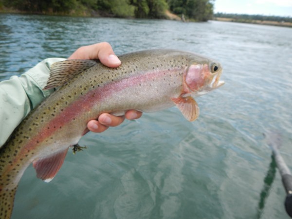 Fishing Report Image