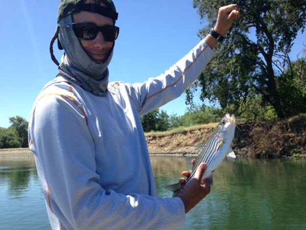 schoolie striper