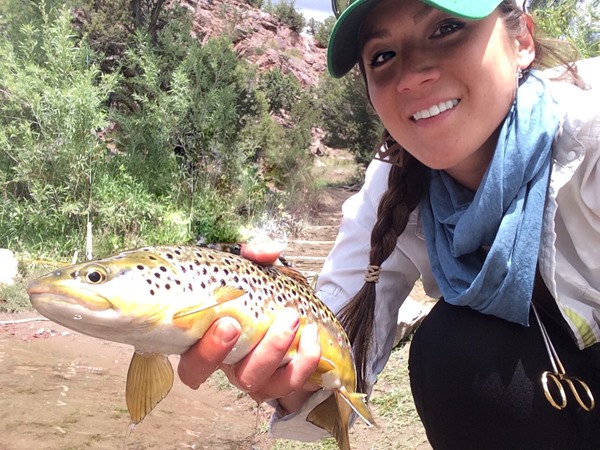 A nice brown landed at the camp home water