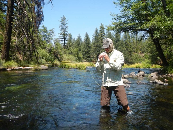 cooling off in Burney Creek