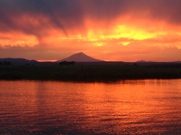 Fishing Report Image