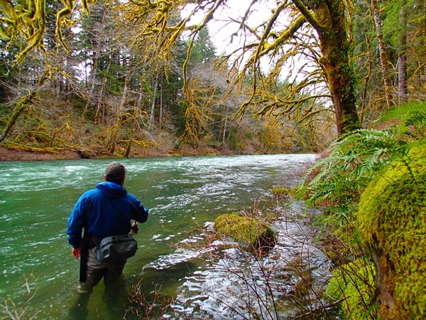 Steelhead Green on the O.P.  Epic.