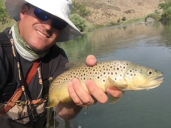 Crushed a skated salmon fly! 10 of these in two hours. Whee!