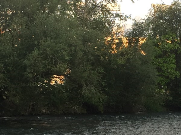 Fishing in the shadows of Bronco Stadium.