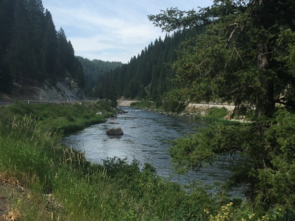 Gorgeous way to beat the heat.