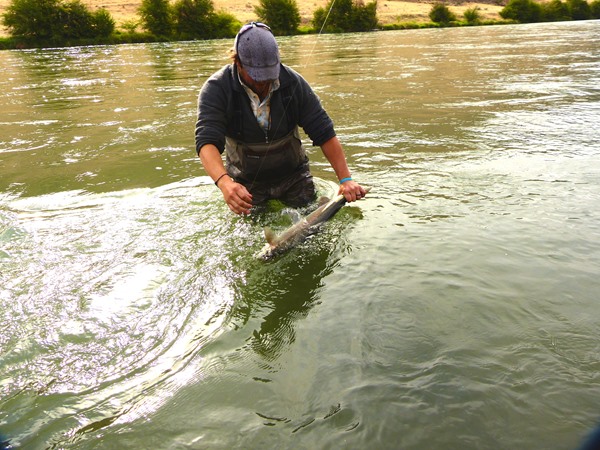 Travis landing a beautiful hen.