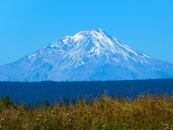 MT Shasta!