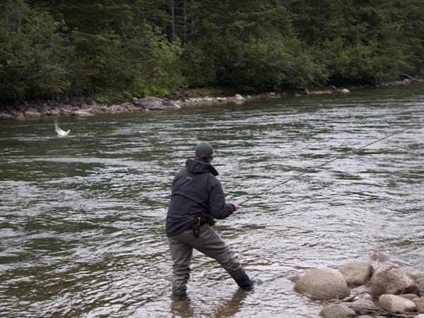 Mega chrome jumping dry fly fish