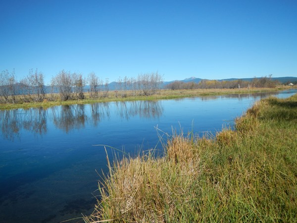 The Wood River, a classic spring creek