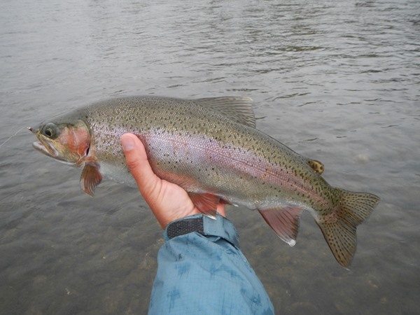 Fishing Report Image