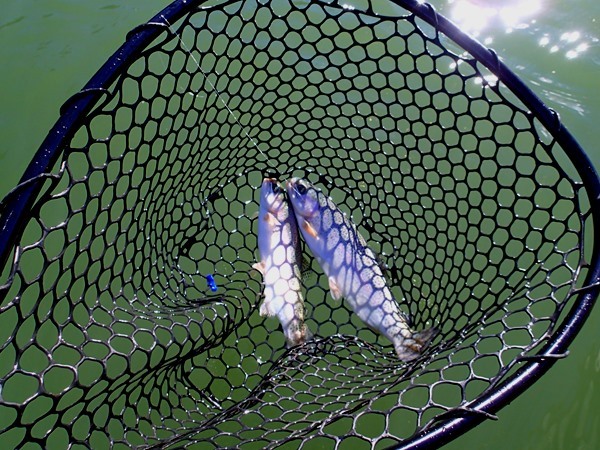 Doubles were not uncommon