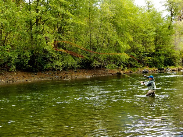 Carrie with some speed on his spey cast.