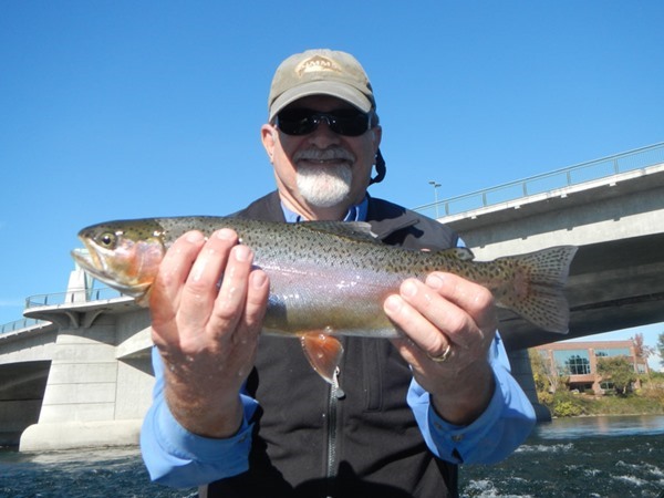 Fishing Report Image