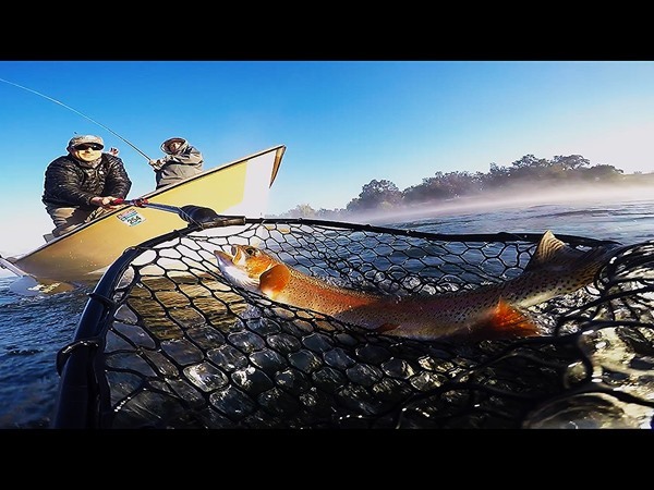 (Client) Bret landing his first Lower Sac 'bow!