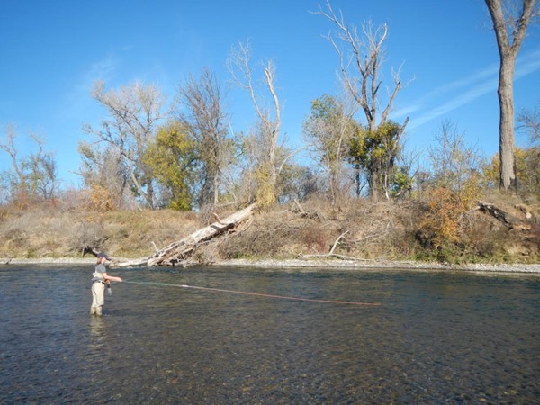 Lisa hooked a big one
