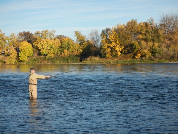 Gene fishing a great riffle