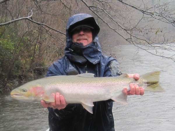 Jon landed 2 big wild bucks like this one