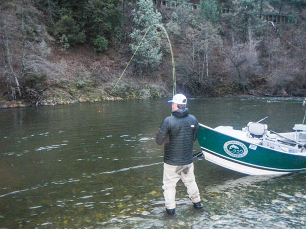 Jordan playing one of many steelhead