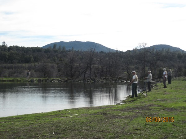 Fishing Report Image