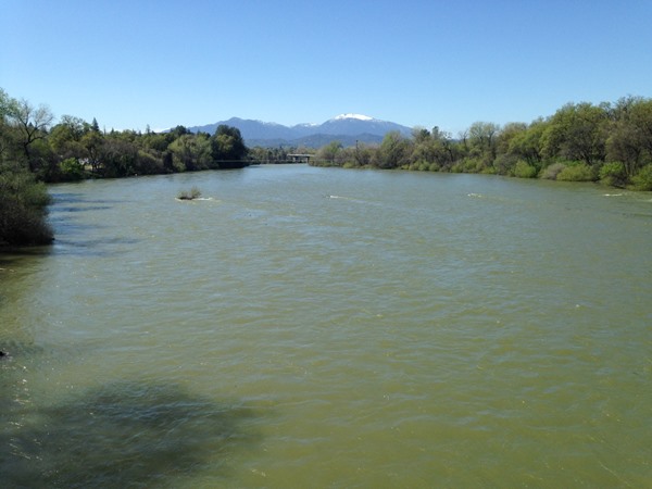 Above Sundial Bridge