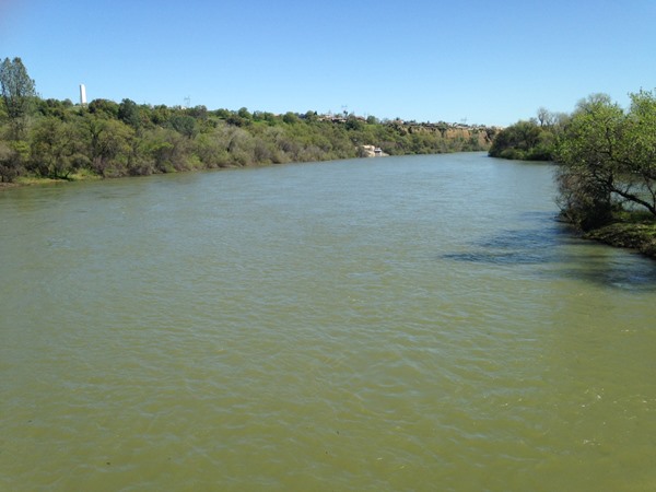 Below Sundial Bridge