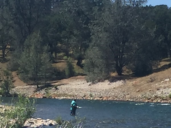 A typical Yuba backdrop.