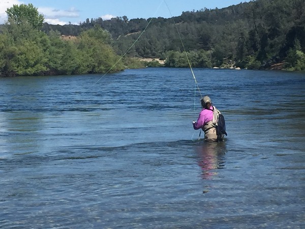 A great spot to swing flies.