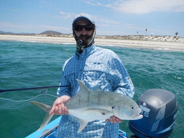 Mark with a jack crevalle