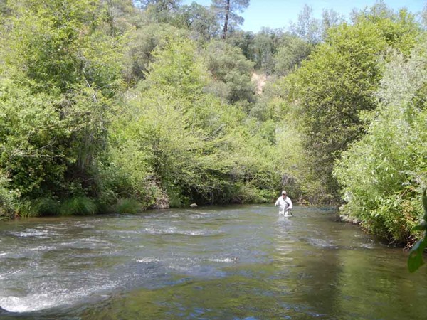 The wider parts of the creek were much more fishable