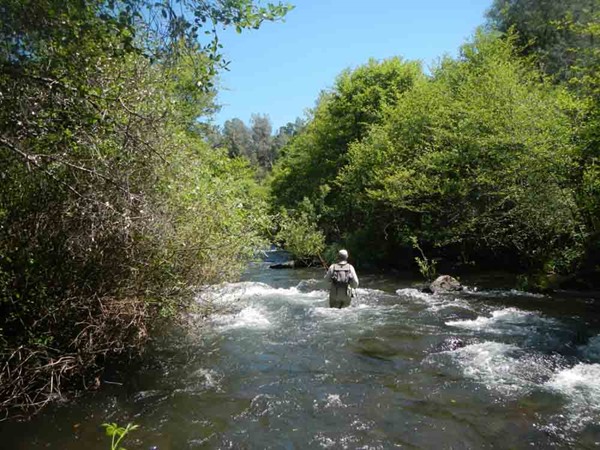 You pretty much have to charge through the river