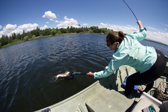 Leslie landing an epic Fall River rainbow