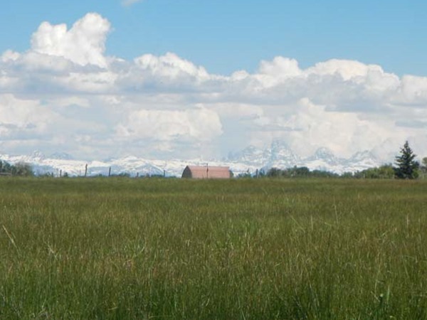 View of the Tetons from the Henry's Fork