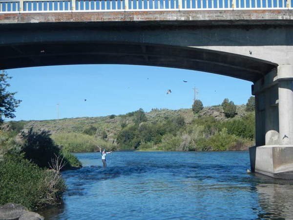 Katie Harris making some casts underneath the Ora Bridge