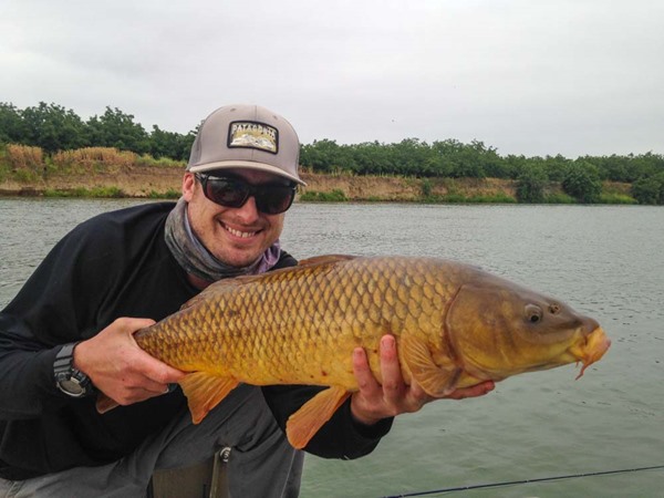 Sam manhandled this giant carp