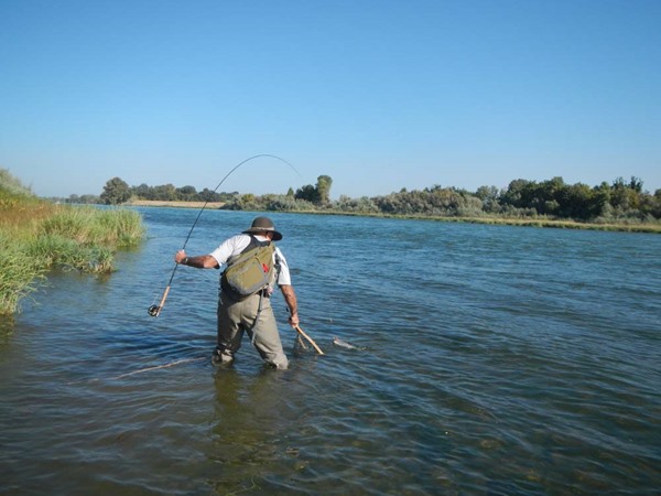 Jim landing a rainbow