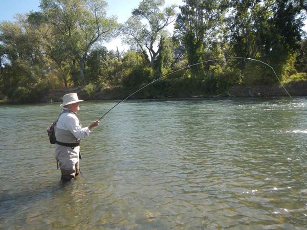 Steve swung up quite a few fish