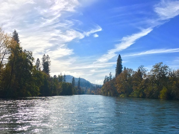 Fishing Report Image