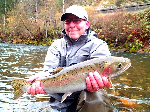 One of four swung up today !