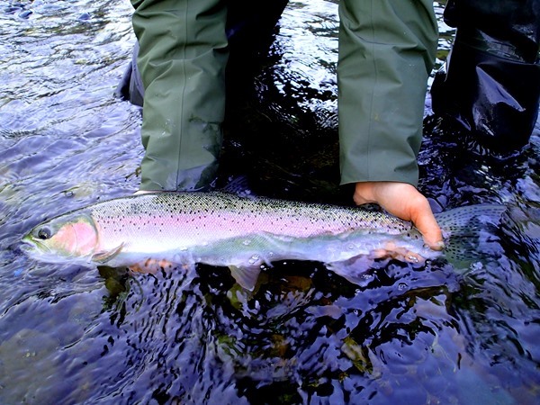 as bright as they get on the upper Trinity !