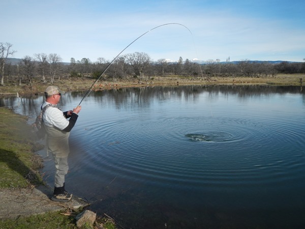 Fishing Report Image