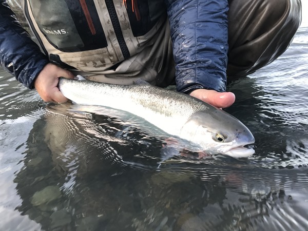 Fishing Report Image