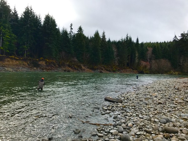 Fishing Report Image